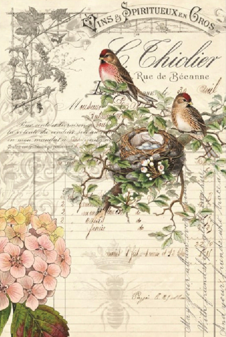Bird Ephemera