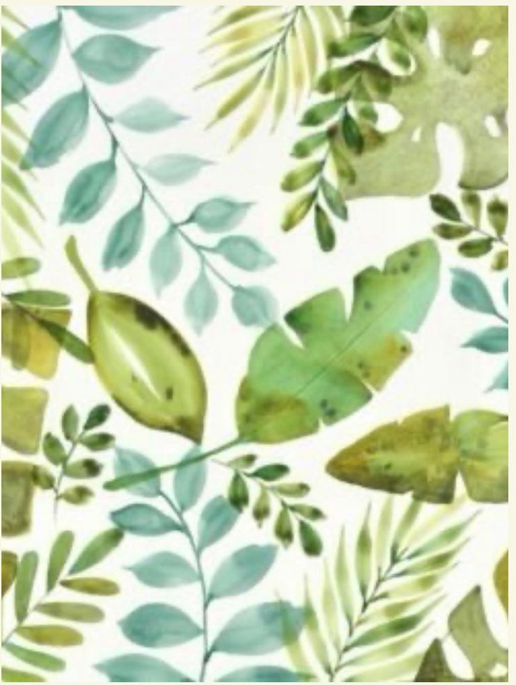 Leaves