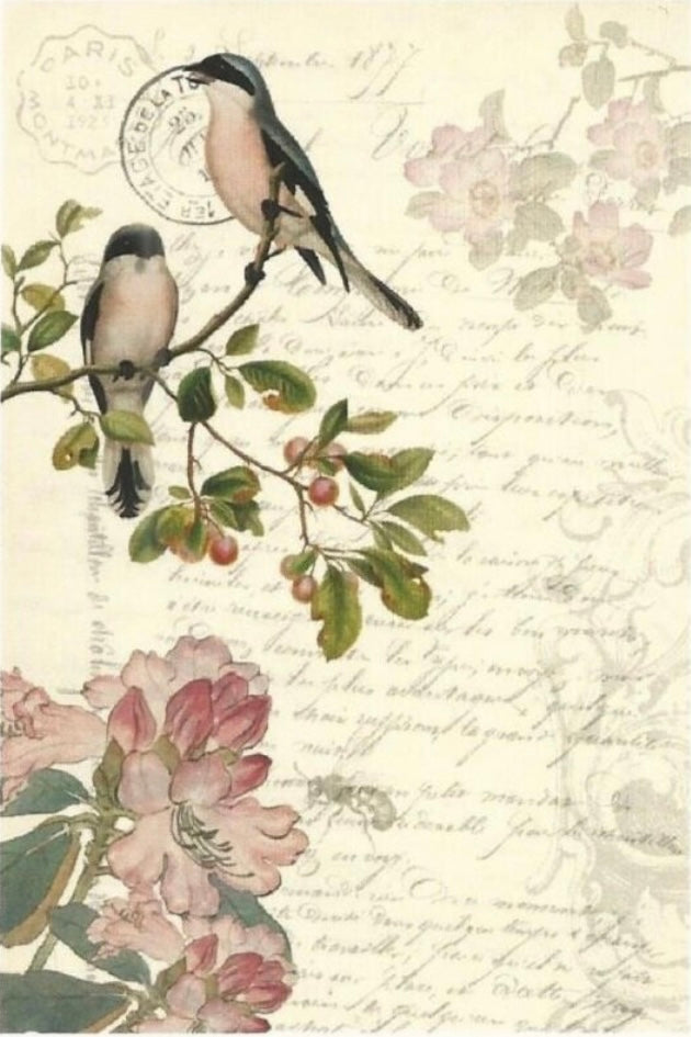 Spring Bird Ephemera