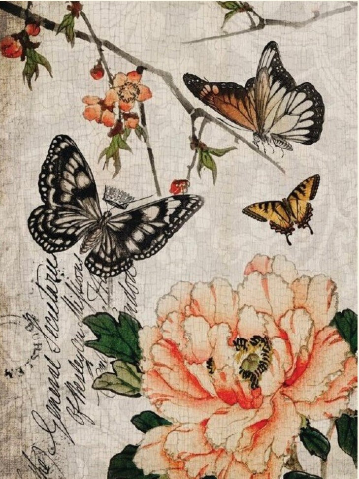 Butterfly Floral