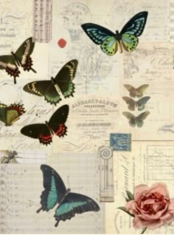 Butterfly Masterboard