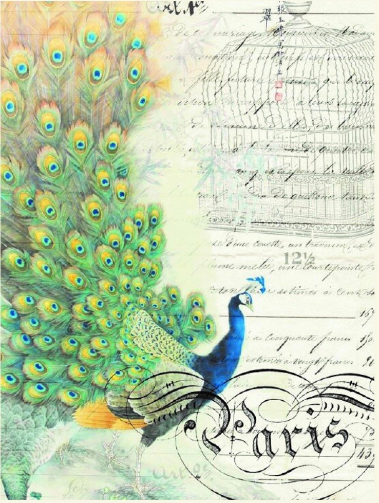 Peacock Ephemera Left