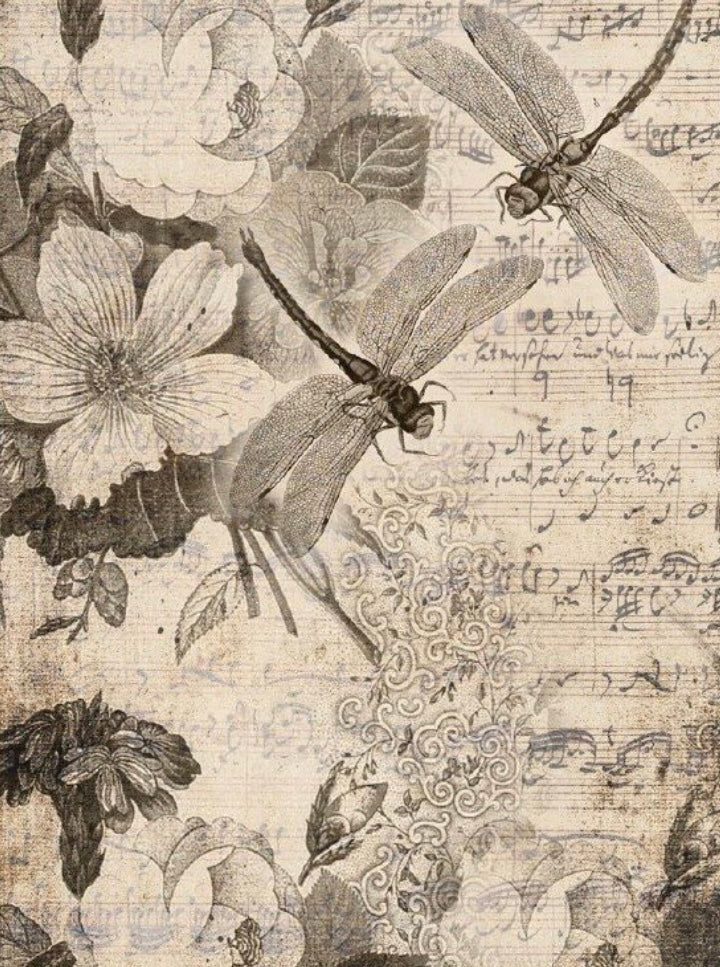 Musical Dragonflies