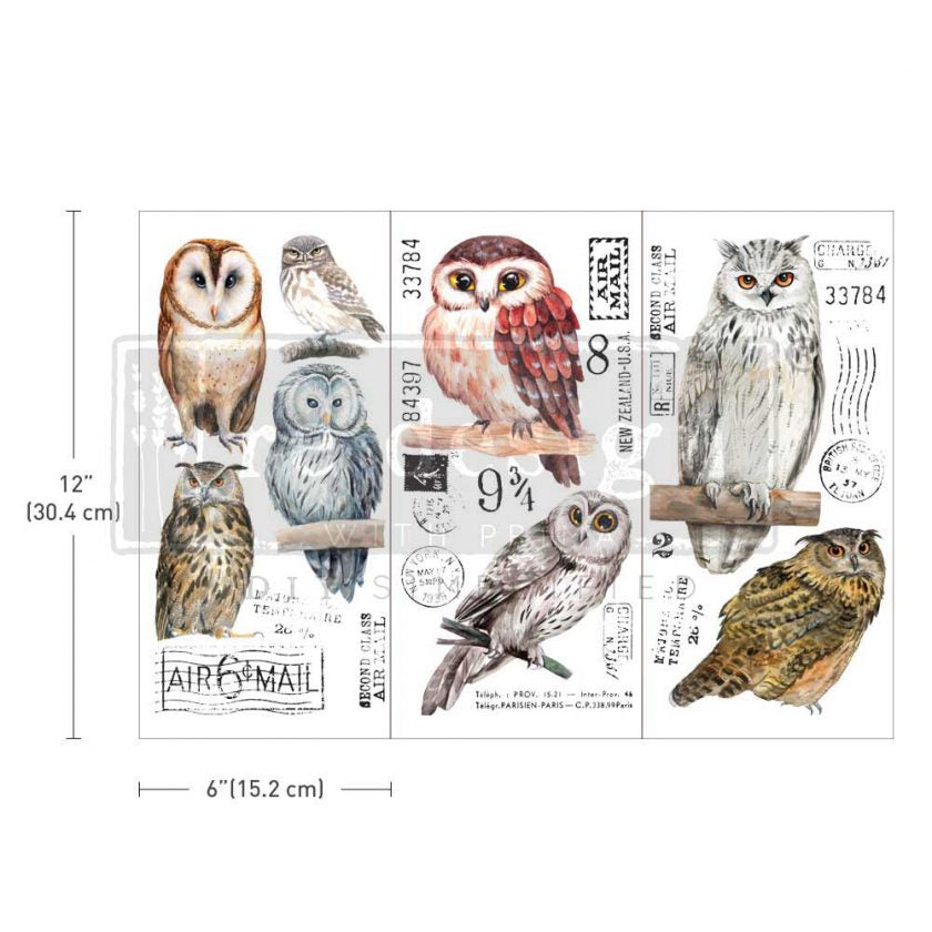 Small Transfers – Owl – 3 sheets, 6″x12″